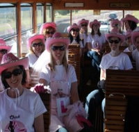 Newcastles Famous Tram - Holiday Adelaide