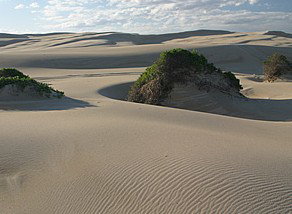 Port Stephens 4WD Tours - Holiday Adelaide 1