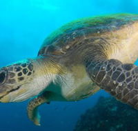 Byron Bay Dive Centre - Holiday Adelaide