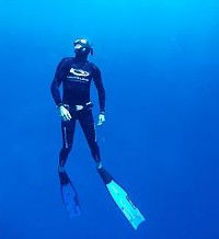 Byron Bay Dive Centre - Holiday Adelaide 1