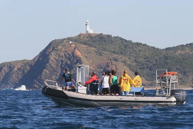 Byron Bay Dolphin Wildlife Tours - Holiday Adelaide 1