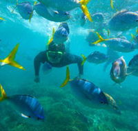 G Adventures - Holiday Adelaide