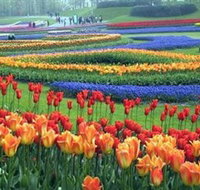 Botanica World Discoveries - Holiday Adelaide