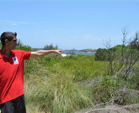 Kadoo Tours - Holiday Adelaide 0