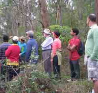 Boronia Tours - Holiday Adelaide
