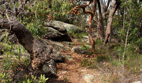 Box Head Track - Holiday Adelaide 0