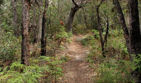 Box Head Track - Holiday Adelaide 1