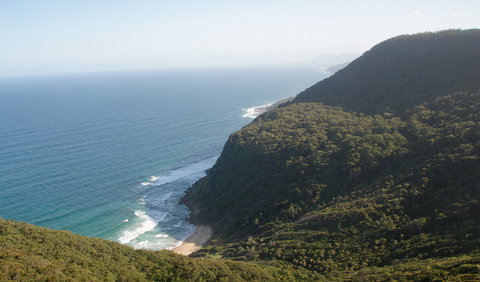 Palm Jungle Loop Track - Holiday Adelaide 1