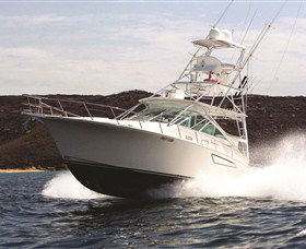 1300 Big Fish - Holiday Adelaide 0