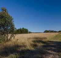 Scheyville horse riding trails - Holiday Adelaide