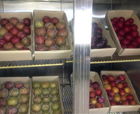 Canoelands Orchard - Holiday Adelaide 1