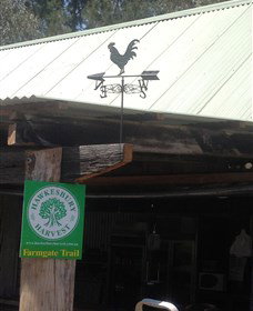 Canoelands Orchard - Holiday Adelaide 3