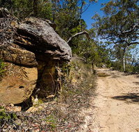 Canoelands Ridge walking track - Holiday Adelaide