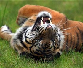 Symbio Wildlife Park - Holiday Adelaide 6