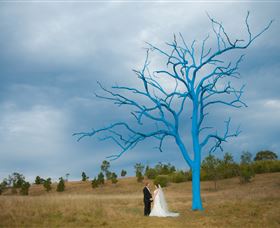 The Australian Botanic Garden Mount Annan - Holiday Adelaide 5