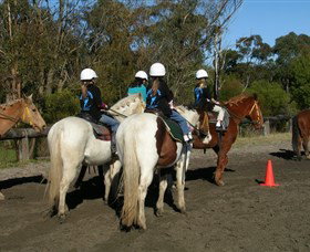 Darkes Forest Riding Ranch - Holiday Adelaide 0