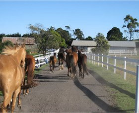 Darkes Forest Riding Ranch - Holiday Adelaide 1