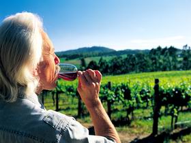 Ashton Hills Vineyard - Holiday Adelaide 0