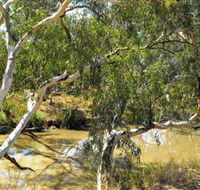 Quilberry Creek Fishing - Holiday Adelaide