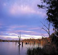 Loch Luna Game Reserve and Moorook Game Reserve - Holiday Adelaide