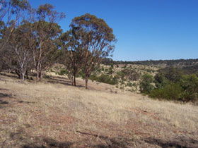 Onkaparinga River National Park - Holiday Adelaide 0