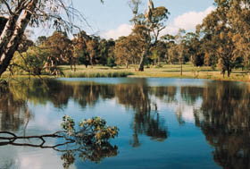 Echunga Golf Club Incorporated - Holiday Adelaide 1