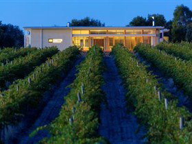 Mitolo Wines - Holiday Adelaide 3