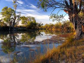 Murray River National Park - Holiday Adelaide 0