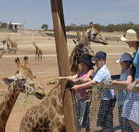 Monarto Open Range Zoo - Holiday Adelaide