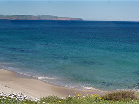 Carrickalinga Beach - Holiday Adelaide 1