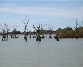 Lake Victoria - Holiday Adelaide 3