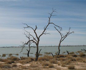 Lake Victoria - Holiday Adelaide 6