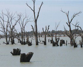 Lake Victoria - Holiday Adelaide 4