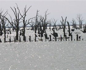 Lake Victoria - Holiday Adelaide 5