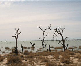 Lake Victoria - Holiday Adelaide 7