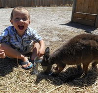 Animal Farm Goolwa - Holiday Adelaide