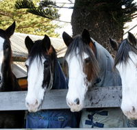Victor Harbor Horse Drawn Tramway - Holiday Adelaide
