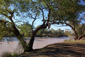Charleville - Bakers Bend Warrego River Fishing Spot - Holiday Adelaide 1