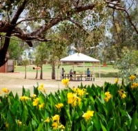 Charleville - Graham Andrews Parklands - Holiday Adelaide