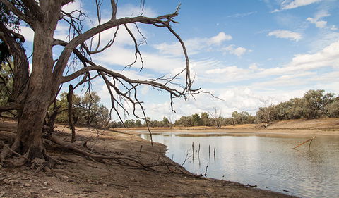 Toorale National Park - Holiday Adelaide 0