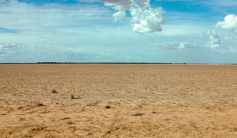 Toorale National Park - Holiday Adelaide 1