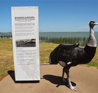 Birdman of the Coorong - Holiday Adelaide