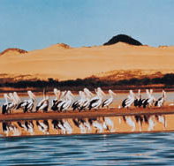 Coorong National Park - Holiday Adelaide