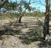 Tintinara Walking Trail - Holiday Adelaide