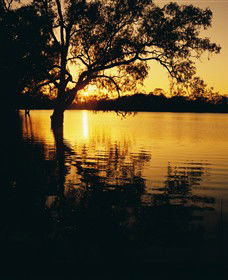 Hattah-Kulkyne National Park - Holiday Adelaide 0