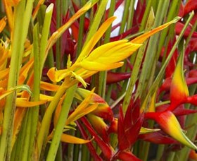 Parap Markets - Holiday Adelaide 1