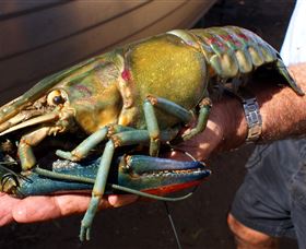 Fairbairn Dam, Lake Maraboon - Holiday Adelaide 3