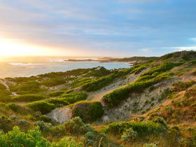 Beachport Conservation Park - Holiday Adelaide 0