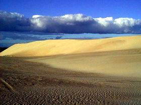 Beachport Conservation Park - Holiday Adelaide 1