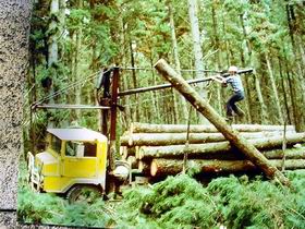 Nangwarry Forestry And Logging Museum - Holiday Adelaide 3